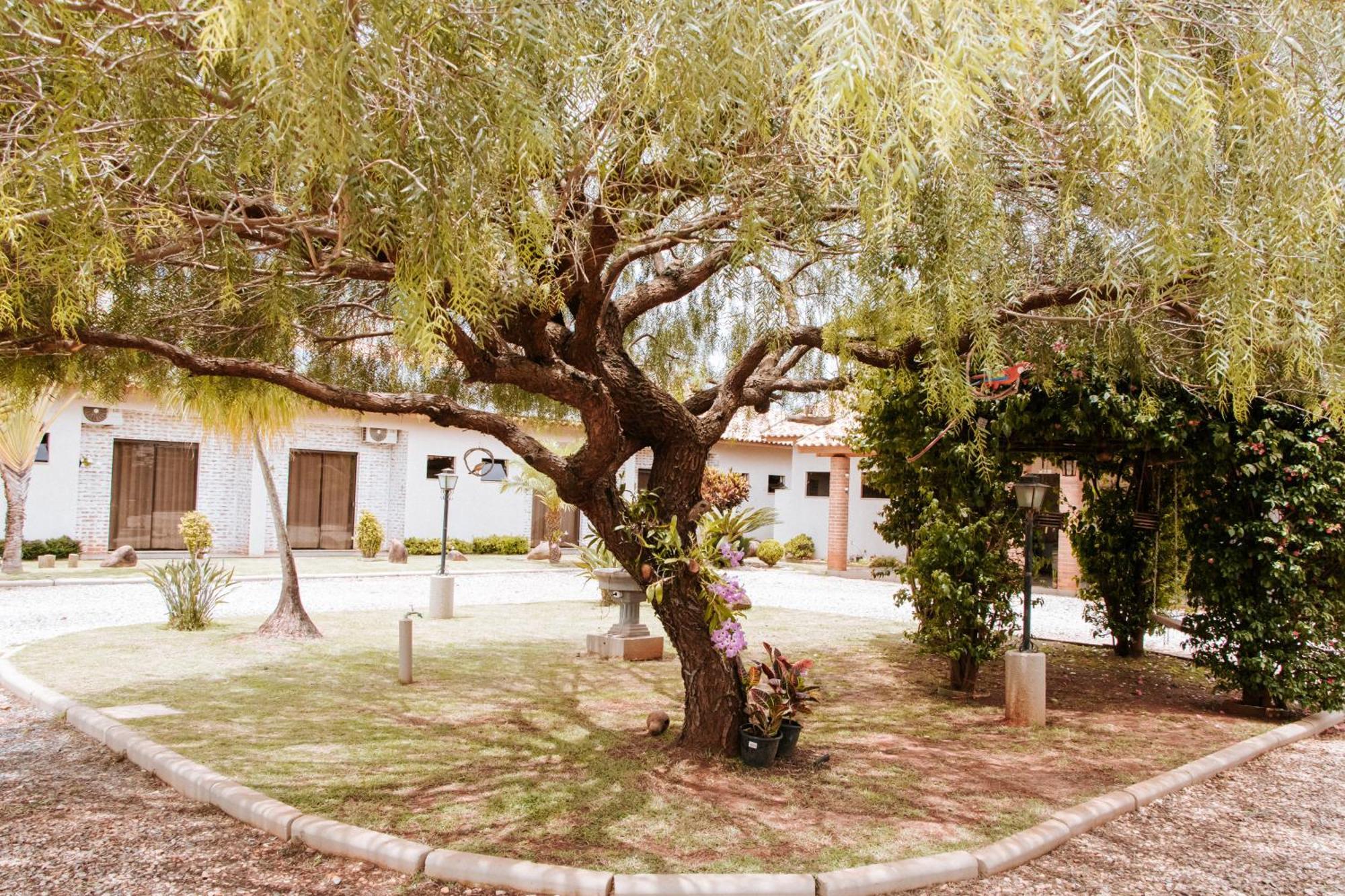 Rancho Pedras